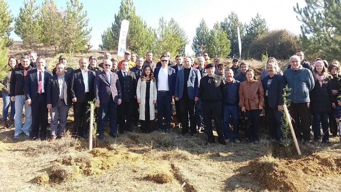 Gümüşhacıköy İlçe Milli Eğitim Müdürlüğü Hatıra Ormanı na Her Öğretmene Bir Fidan Dikimi 24 Kasım Öğretmenler Günü Etkinlikleri Kapsamında Gerçekleştirildi. 