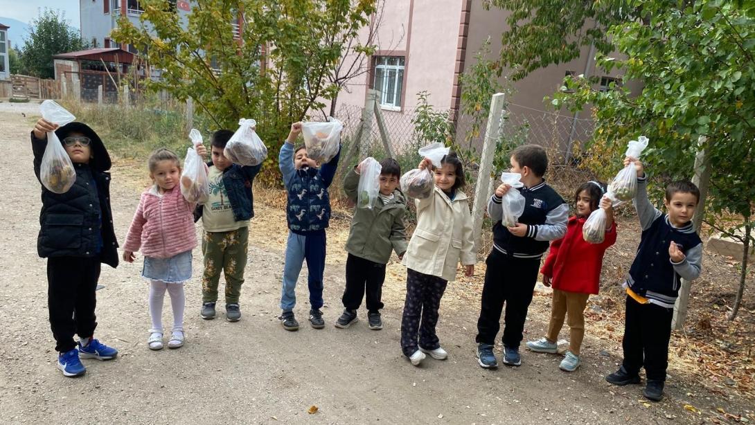 Gümüşhacıköy'de Minik Yürekler Doğayla Buluştu: 